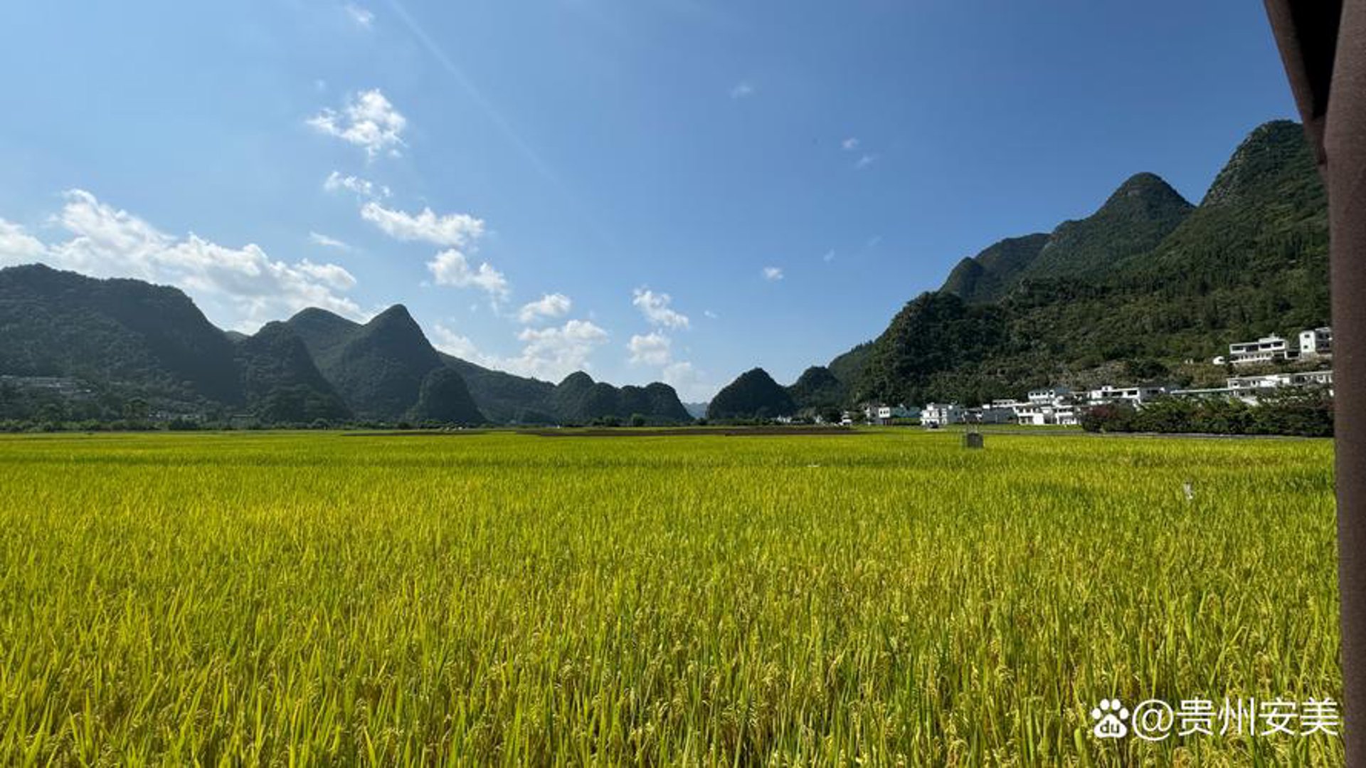 新天地园艺